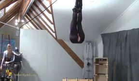 spankbang com lesdom strapon 12 240p