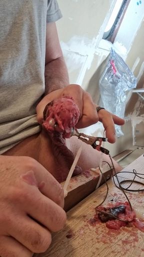 Hot wax, Spikes and elektro