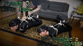 Nyxon & Luna Dawn Cat Burglars Caught & Hogtied