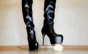 Dominatrix tramples roses with her beautiful shoes