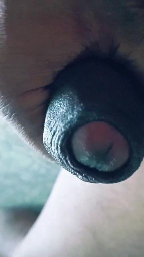 Desi gay daddy horny feelings of lust