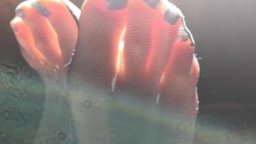 Sniff My feet