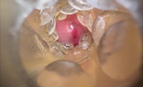 Huge Creampie with Internal View while Fucking Fleshlight, Moaning and Dirty Talking