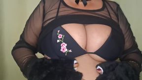 Meon Meaon I Am Kitty Cat