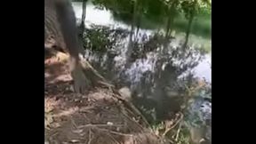 Bơi bị tuột quần