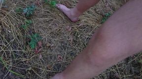 Naked Guy Morning Jerk Off in the Tree Line