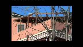 The Illegitimate StepDaughter