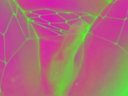 BBC Fucks Femboy Easter Bunny