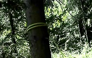Cd fucked outdoor