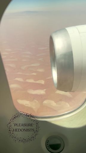 Aerial View of Airplane Wing
