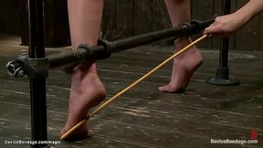 Bound in device redhead tormented