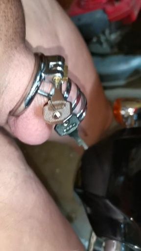 Chastity remove from cock