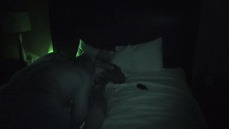 Night vision blowjob