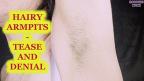 HAIRY ARMPITS - TEASE AND DENIAL