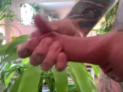 Jerking My Fat Cock By The Window 4 The Neighbors To See