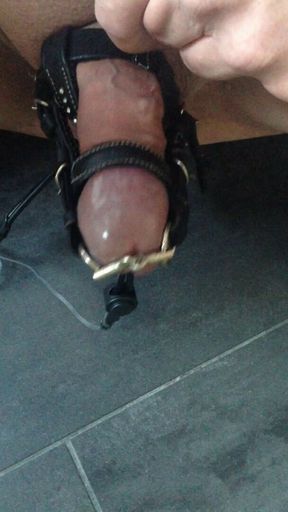 My little horse cum with estim