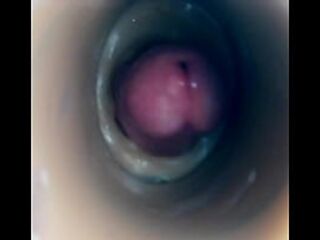 Internal camera fuck in pussy big pulsating cumshot