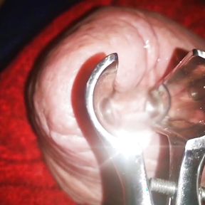 Speculum Inside My Cock Hole Made Me Cum