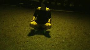 Beautiful Whore Sucking My Dick in the Park