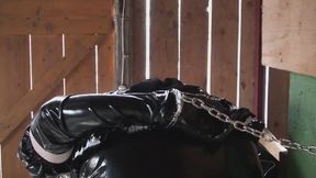 Plastic French Maid in the Stable