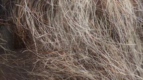 Solo Edging My Cock with a New Fuckhole