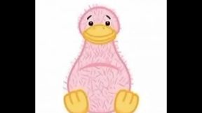 18 Year Old Rapper Rides Pink Dildo