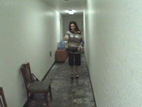 Ricky Bobbie Cow Girl Shoes