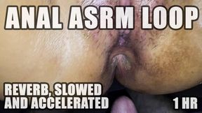 ANAL ASRM loop for one hour. Reverb, slowed and accelerated. Like bottle opening, moans, farts and gases