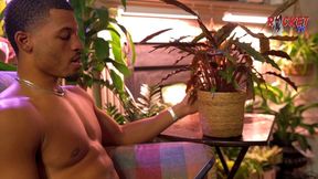 rocket tv - 1-800-plantbaby ft dani dsal