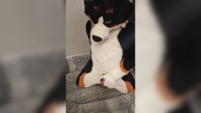 Fertility Check! Stud Dog @AngryBarks Milks his Heavy Balls and puts his Cum under a Microscope