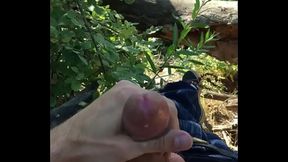 Fun at the park-part 2