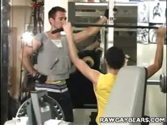 Muscle Bound Bear Hook Up