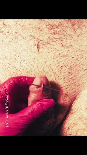 A morning with needles, just the beginning. It wasn't enough. I want more.