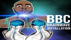 BBC Brainwave Installation