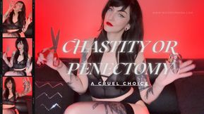 Chastity Or Penectomy? A Cruel Choice...