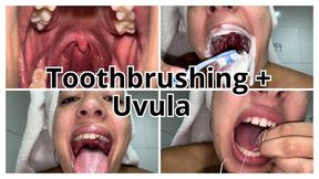 Close-up of toothbrushing and uvula