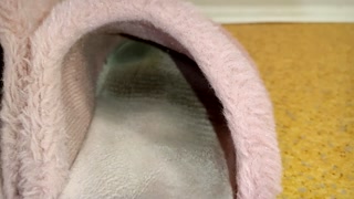 I could stroking, but could't cum...I Love her barefoot in boots and slippers...Eng sub.