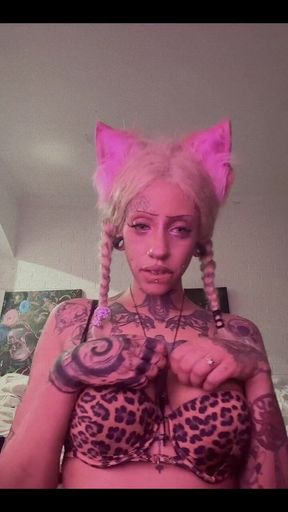 Who Wants More Kitty Girl?