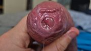 Uncut Hidden Head Precum Play