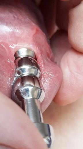 Sounding with a close up cum load through penis plug