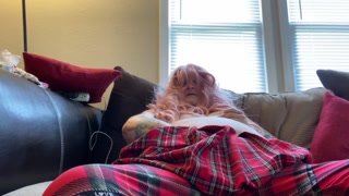 Trans girl Krissy strips masturbates in her first video PART 1