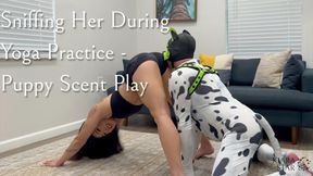 Yoga Interrupted by Eager Puppy Sniffing its Mistress with Kiara Star and Good Boi Pup - Stretch, Contortion, and Scent Play