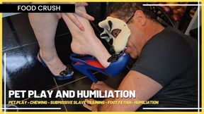 Pet Play and Humiliation: The Useless Puppy Cleaning the Floor and the Goddesses' Sandals (720 EN SUB) - Pet Play - Chewing - Submissive Slave Training - Foot Fetish - Humiliation copy