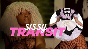 Sissy Transit