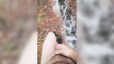 Walking around the park