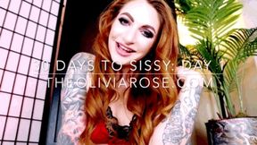 30 Days To Sissy Day 1: Panties (WMV 1080p)