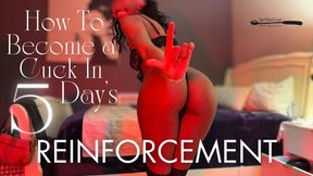 How to Become A Cuck in 5 Day's: Reinforcement