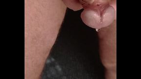 Pre cum dripping