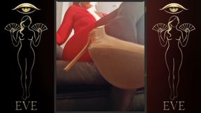 Shame Exposed • FinDom is Your Sex Life