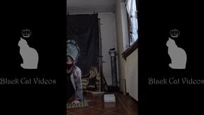 Alice caring for her own business february 2026